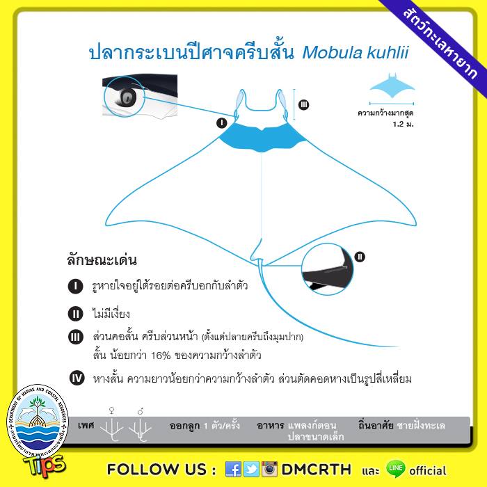 เกร็ดความรู้ ทช.