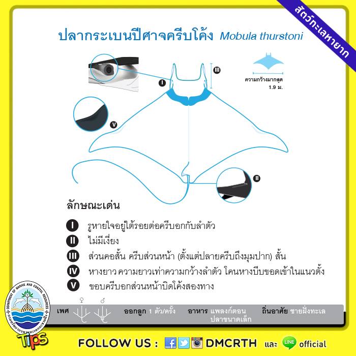เกร็ดความรู้ ทช.