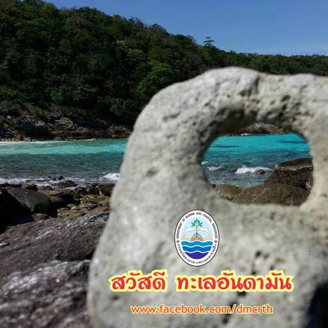 สวัสดี พี่น้องเครือข่ายรักษ์ทะเลไทย