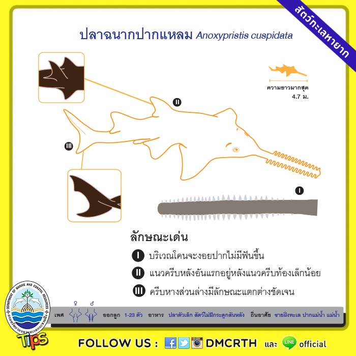 เกร็ดความรู้ ทช.