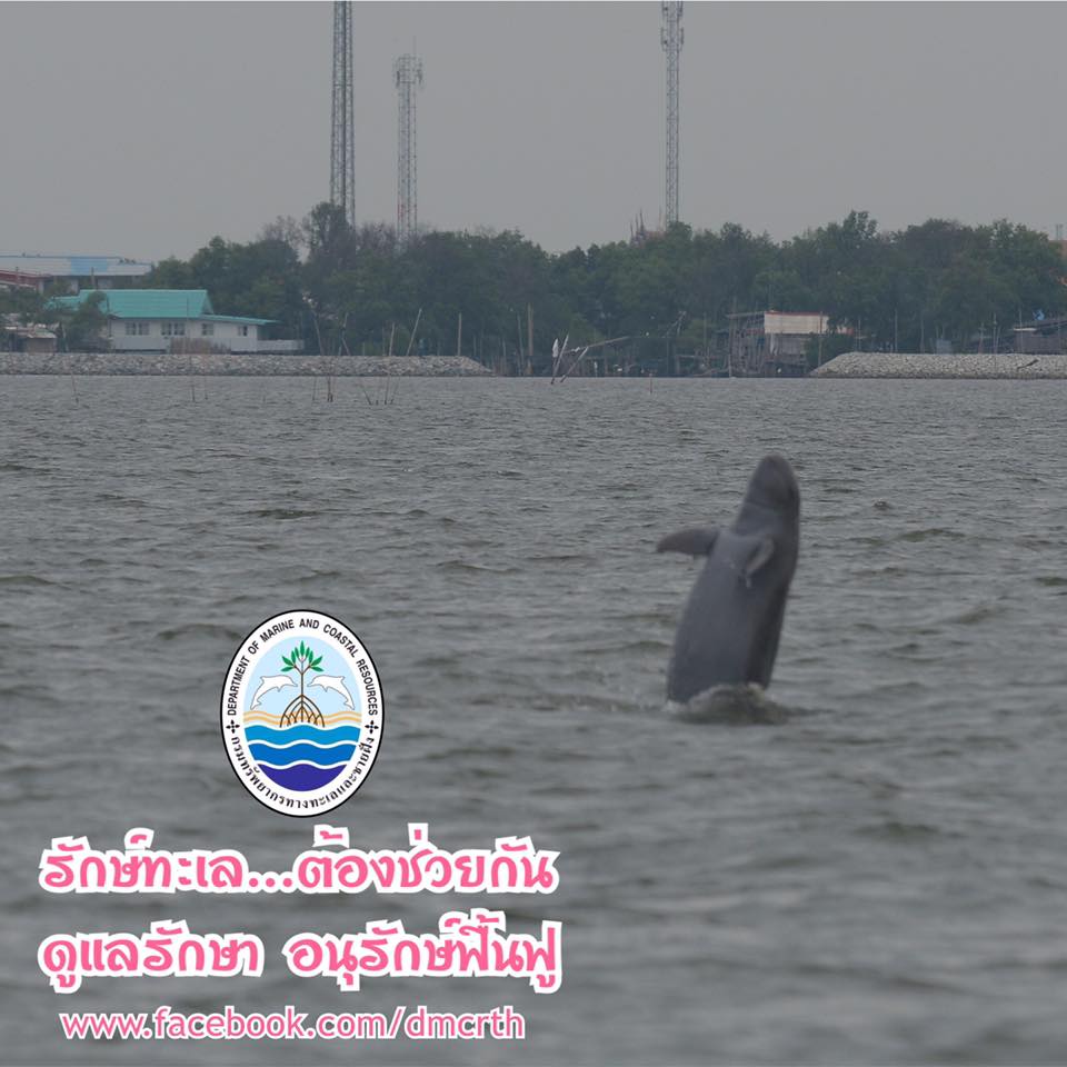 สวัสดี พี่น้องเครือข่ายรักษ์ทะเลไทย