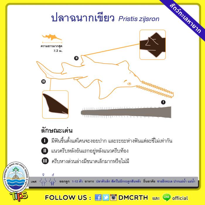 เกร็ดความรู้ ทช.