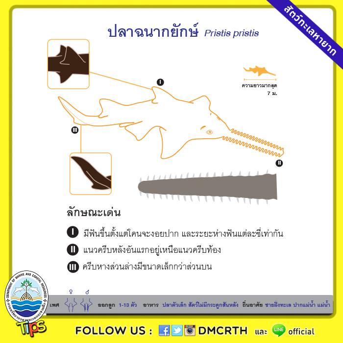 เกร็ดความรู้ ทช.
