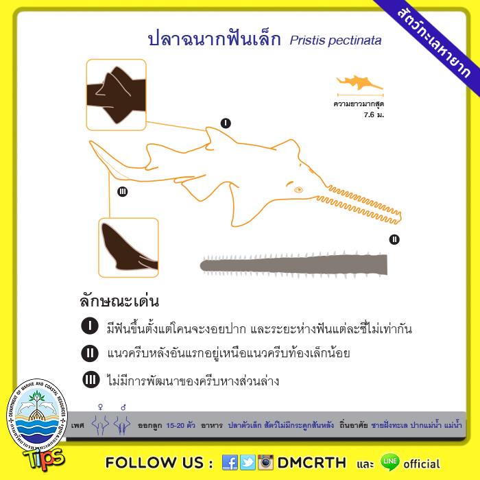 เกร็ดความรู้ ทช.