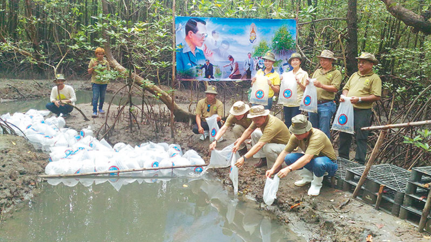 ศูนย์การเรียนรู้สร้างจิตสำนึกการดูแลป่าชายเลน ปากน้ำประแสร์