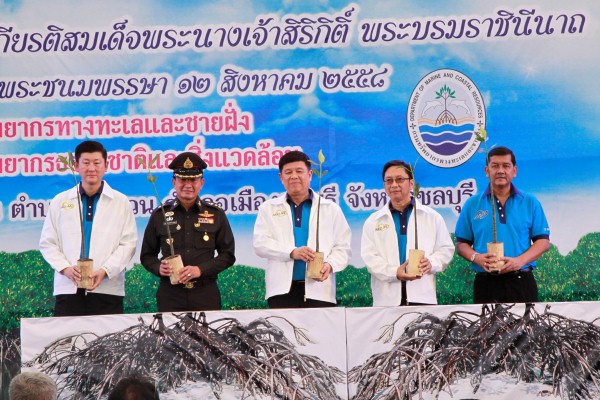 ทช.จัดกิจกรรมปลูกป่าชายเลนเฉลิมพระเกียรติ สมเด็จพระนางเจ้าฯ พระบรมราชินีนาถ