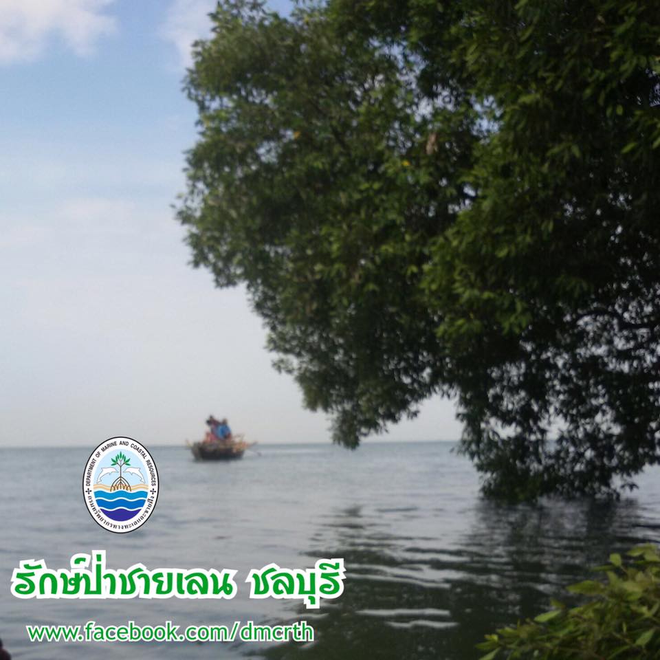 สวัสดี พี่น้องเครือข่ายรักษ์ทะเลไทย
