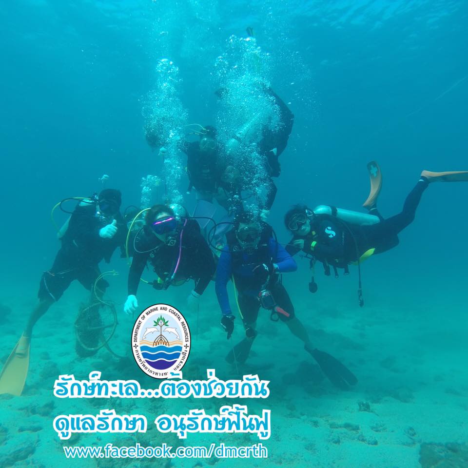 สวัสดี พี่น้องเครือข่ายรักษ์ทะเลไทย