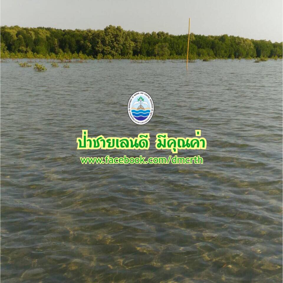 สวัสดี พี่น้องเครือข่ายรักษ์ทะเลไทย