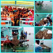 ปล่อยหอยมือเสือ เกาะรังกาจิว ทะเลชุมพร