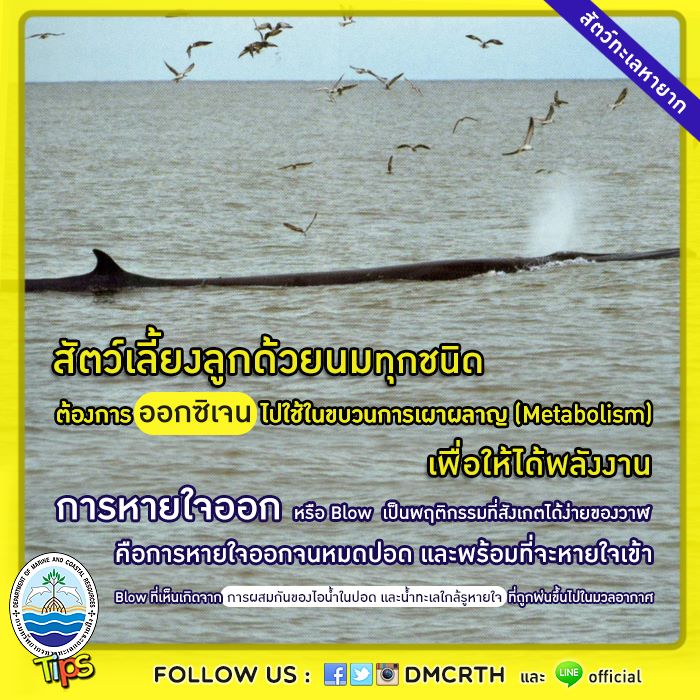 เกร็ดความรู้ ทช.