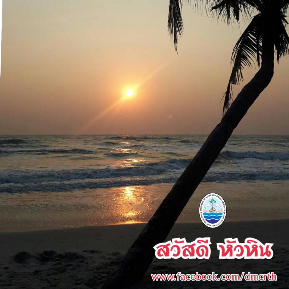 สวัสดี พี่น้องเครือข่ายรักษ์ทะเลไทย