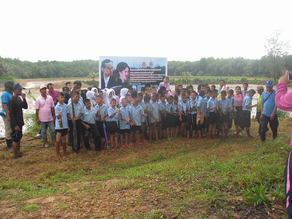 สถานีฯ ที่ 17 พังงา “พลิกฟื้นคืนป่าชายเลนสู่ธรรมชาติ”