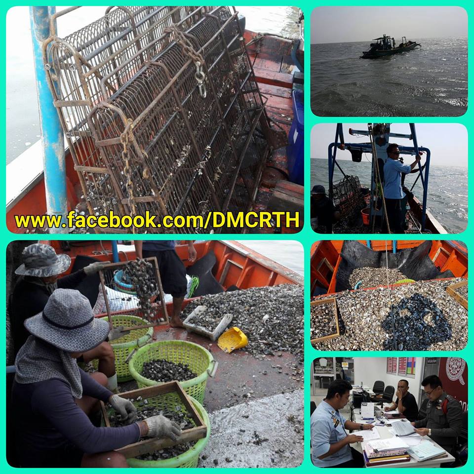 จับกุมเรือประมงลักลอบคราดหอย ชายฝั่งแม่น้ำแม่กลอง