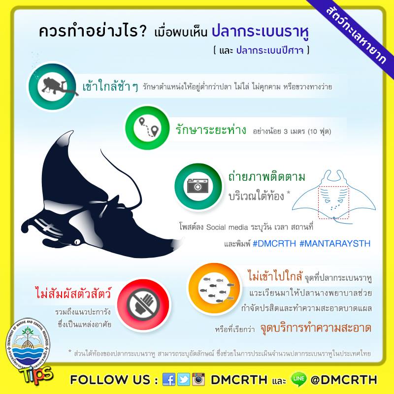 เกร็ดความรู้ ทช.