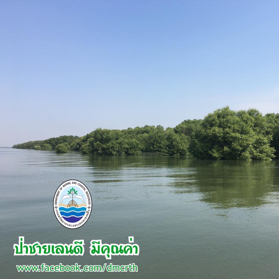สวัสดี พี่น้องเครือข่ายรักษ์ทะเลไทย