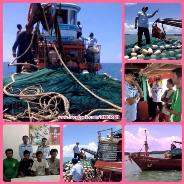 จับกุมเรืออวนล้อมจับปลากะตัก(กลางวัน) เกาะยาว