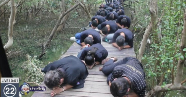 "ซ่อมแซมทางเดินป่าชายเลน ทำดีเพื่อพ่อ"