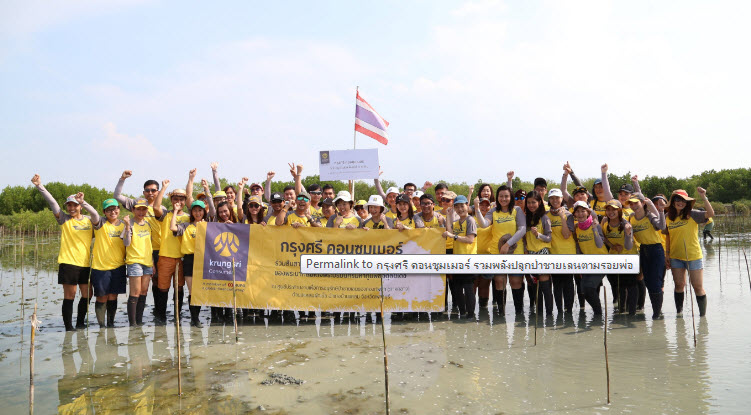 กรุงศรี คอนซูมเมอร์ รวมพลังปลูกป่าชายเลนตามรอยพ่อ