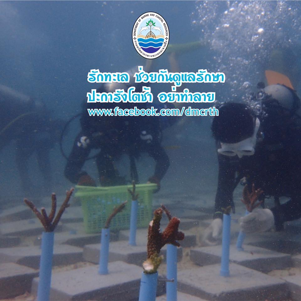 สวัสดี พี่น้องเครือข่ายรักษ์ทะเลไทย