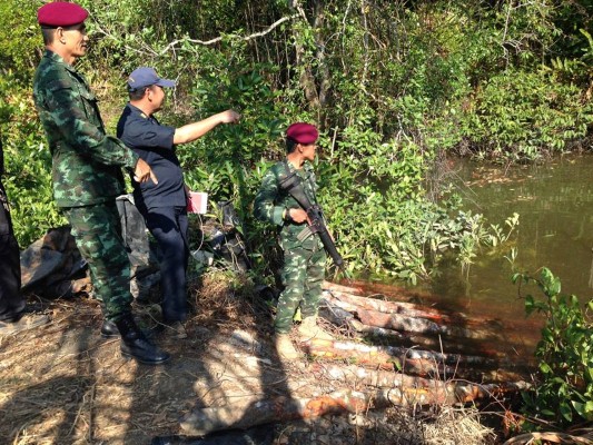 จับผู้กระทำผิดตัดไม้ป่าชายเลนผิด กม.