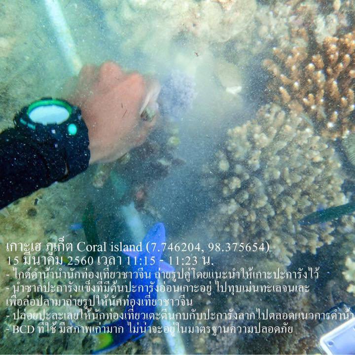 ชี้แจงข้อร้องเรียนกรณีใช้ปะการังทุบหอยเม่นล่อปลาให้นักท่องเที่ยวดู