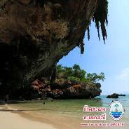 สวัสดี พี่น้องเครือข่ายรักษ์ทะเลไทย