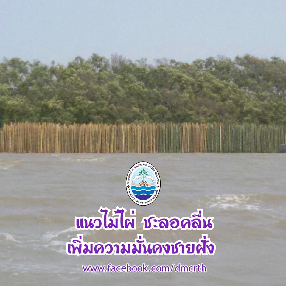 สวัสดี พี่น้องเครือข่ายรักษ์ทะเลไทย