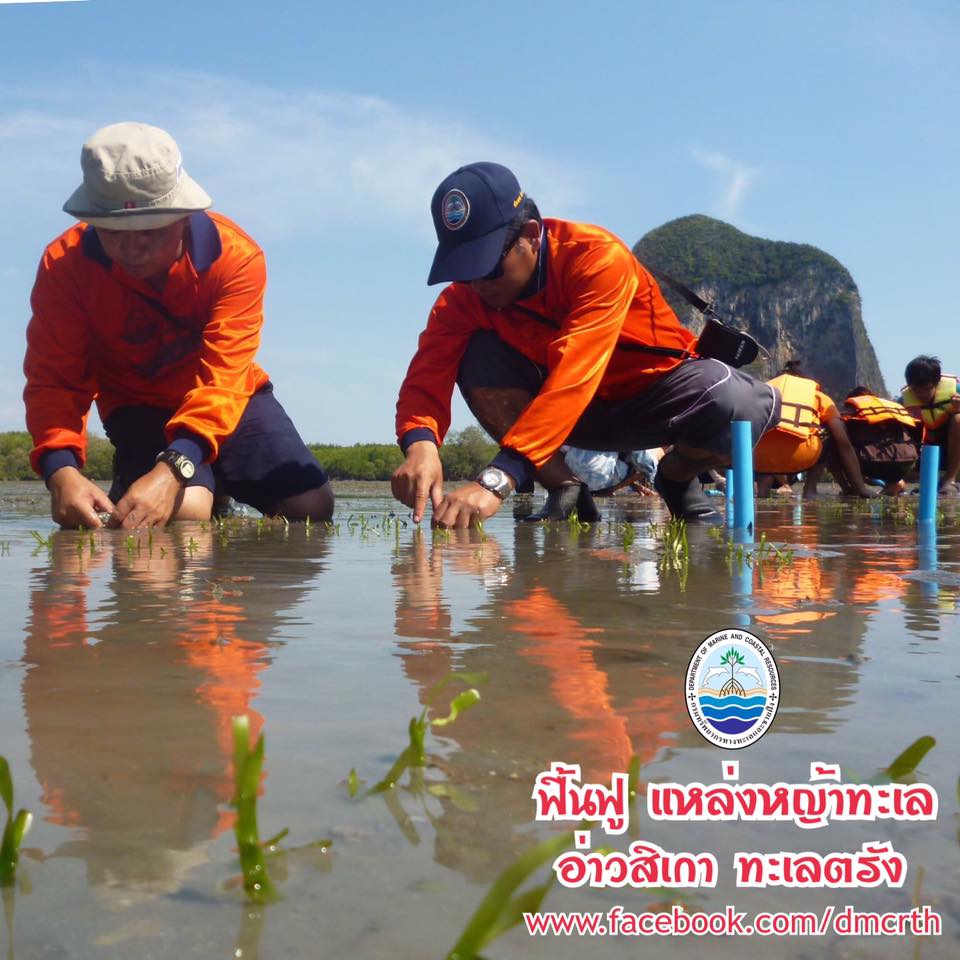 สวัสดี พี่น้องเครือข่ายรักษ์ทะเลไทย