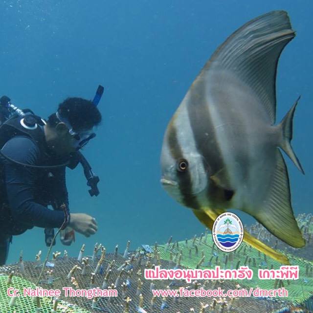 สวัสดี พี่น้องเครือข่ายรักษ์ทะเลไทย