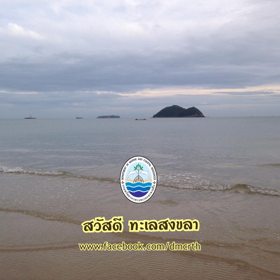 สวัสดี พี่น้องเครือข่ายรักษ์ทะเลไทย