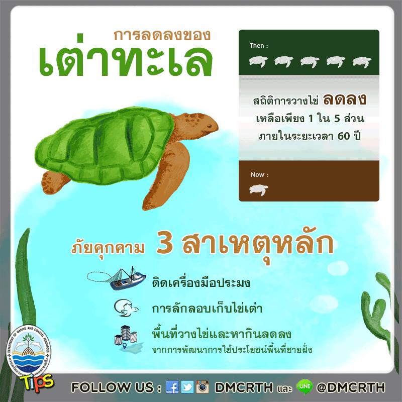 เกร็ดความรู้ ทช.
