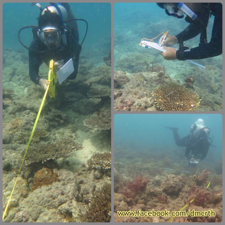 ทช. ลงพื้นที่สำรวจสถานภาพปะการังอันดามันตอนบน