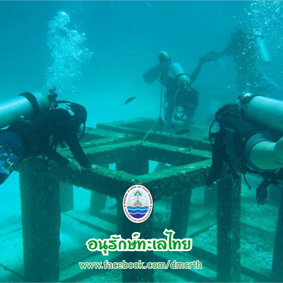 สวัสดี พี่น้องเครือข่ายรักษ์ทะเลไทย