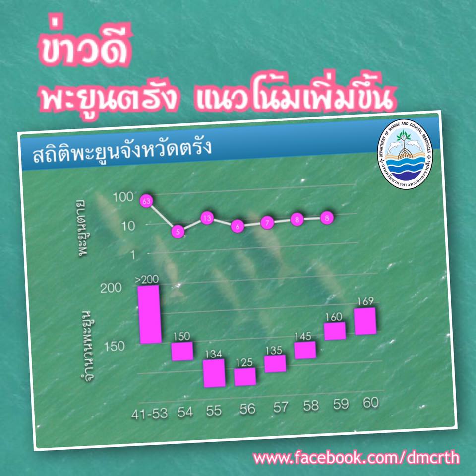 ข่าวดี...สำหรับคนรักพะยูน
