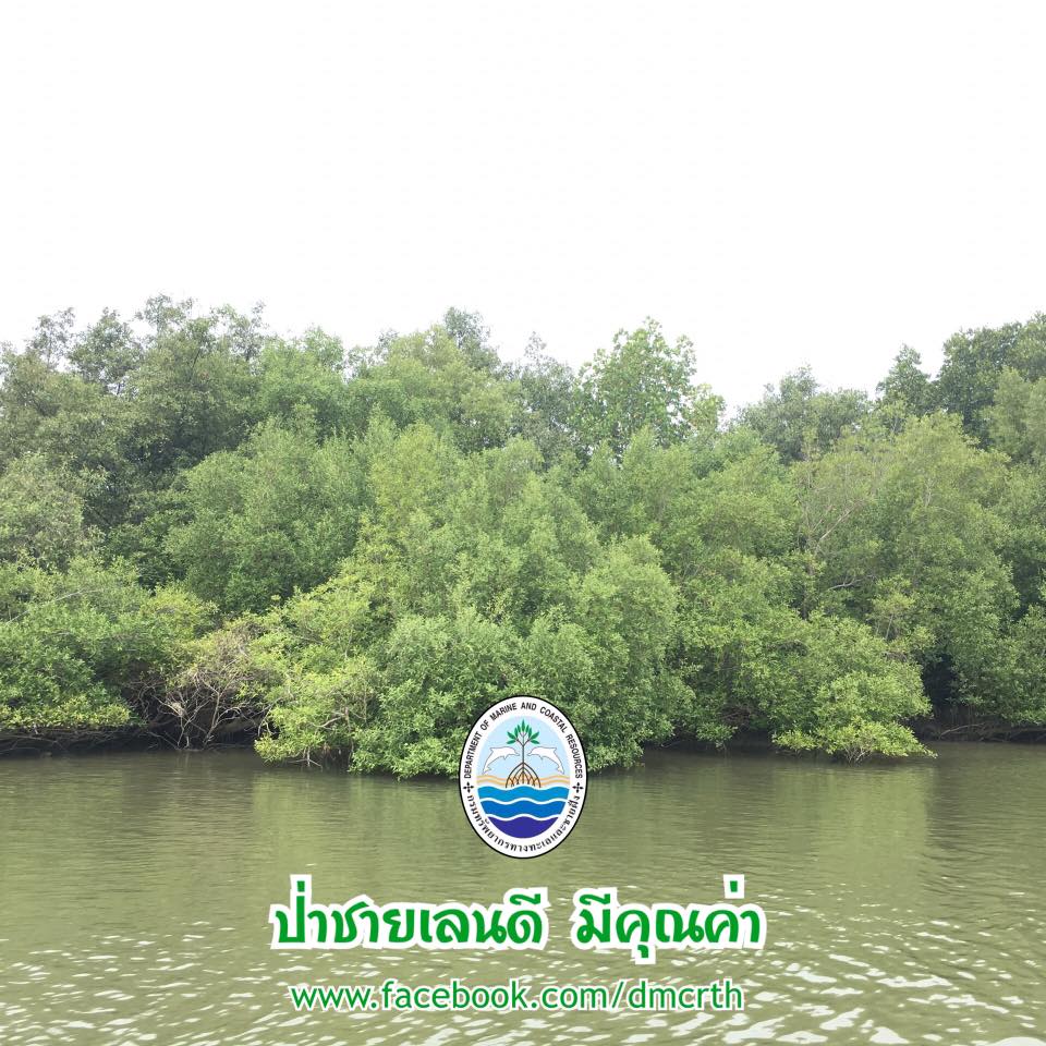 สวัสดี พี่น้องเครือข่ายรักษ์ทะเลไทย