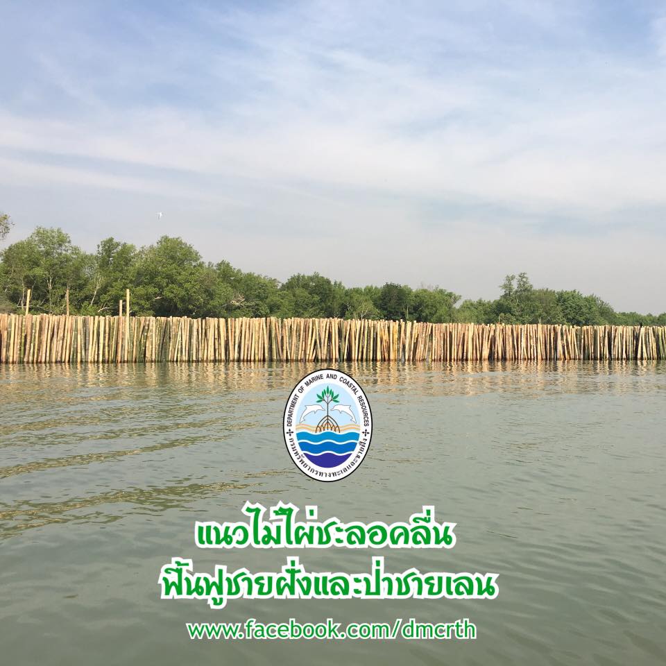 สวัสดี พี่น้องเครือข่ายรักษ์ทะเลไทย