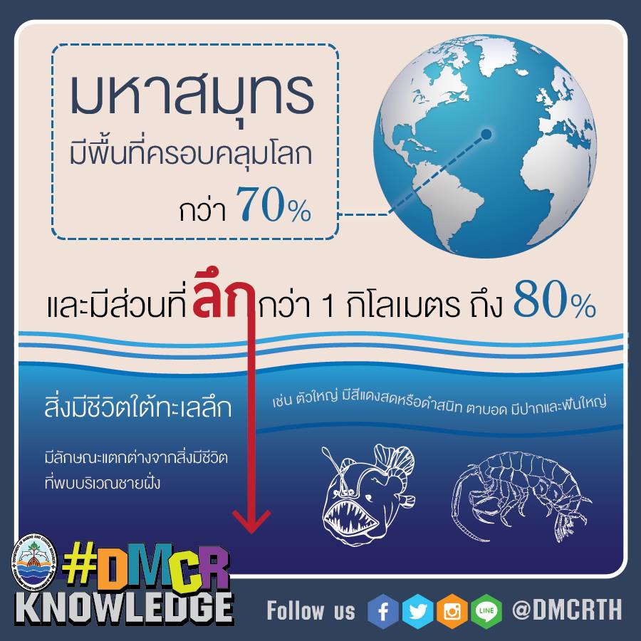 เกร็ดความรู้ ทช.