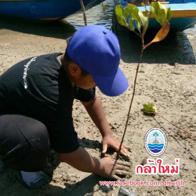 สวัสดี พี่น้องเครือข่ายรักษ์ทะเลไทย
