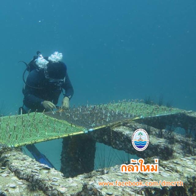 สวัสดี พี่น้องเครือข่ายรักษ์ทะเลไทย