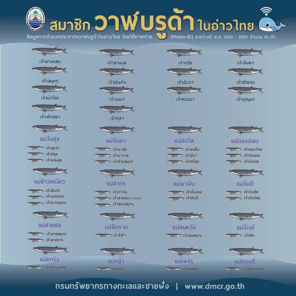 เกร็ดความรู้ ทช.