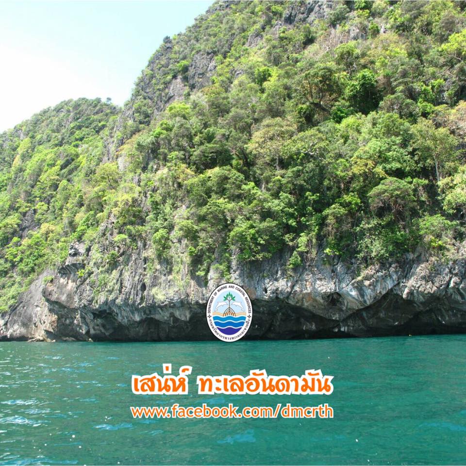 สวัสดี พี่น้องเครือข่ายรักษ์ทะเลไทย