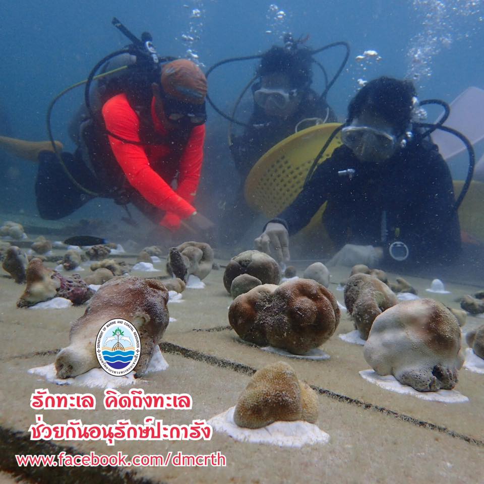 สวัสดี พี่น้องเครือข่ายรักษ์ทะเลไทย