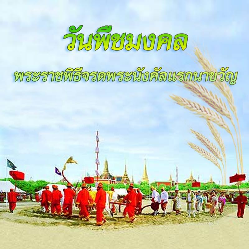 สวัสดี พี่น้องเครือข่ายรักษ์ทะเลไทย