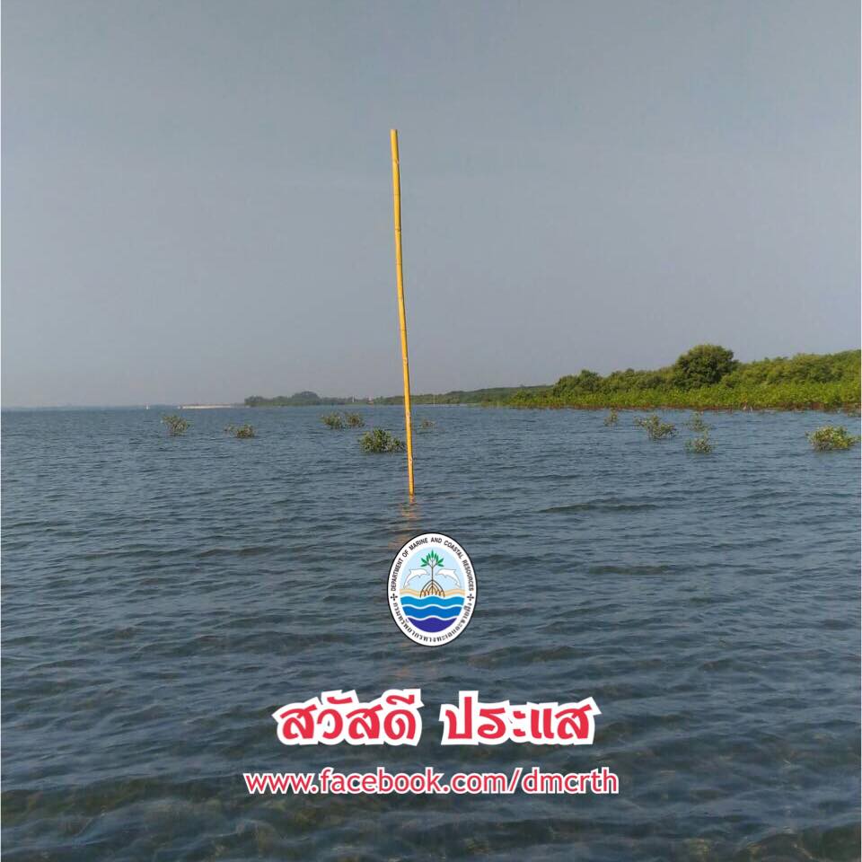 สวัสดี พี่น้องเครือข่ายรักษ์ทะเลไทย