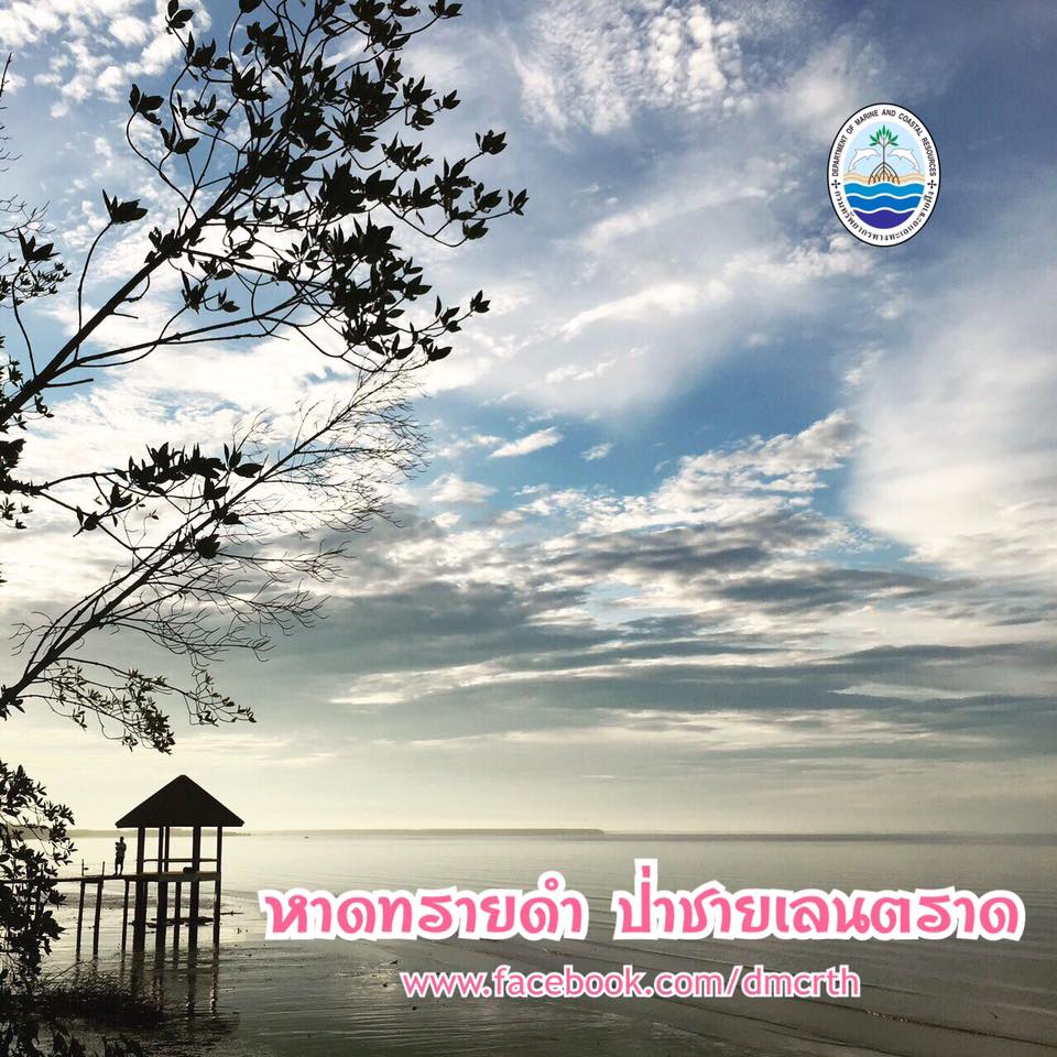 สวัสดี พี่น้องเครือข่ายรักษ์ทะเลไทย