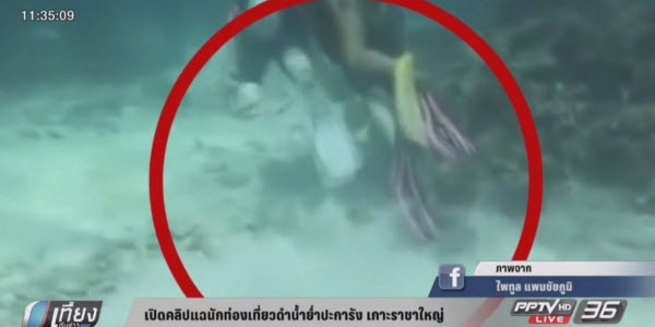 เปิดคลิปแฉนักท่องเที่ยวดำน้ำย่ำปะการัง เกาะราชาใหญ่