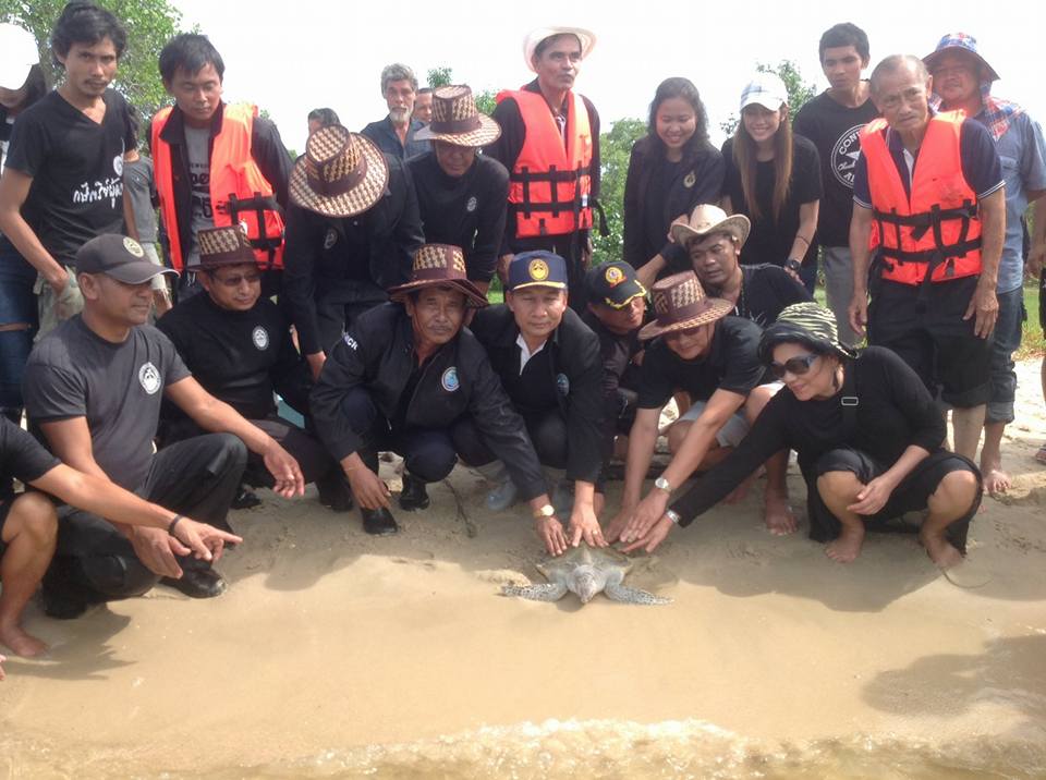 ทช.จัดกิจกรรมโครงการปลูกป่าชายเลนและปล่อยพันธุ์สัตว์น้ำ