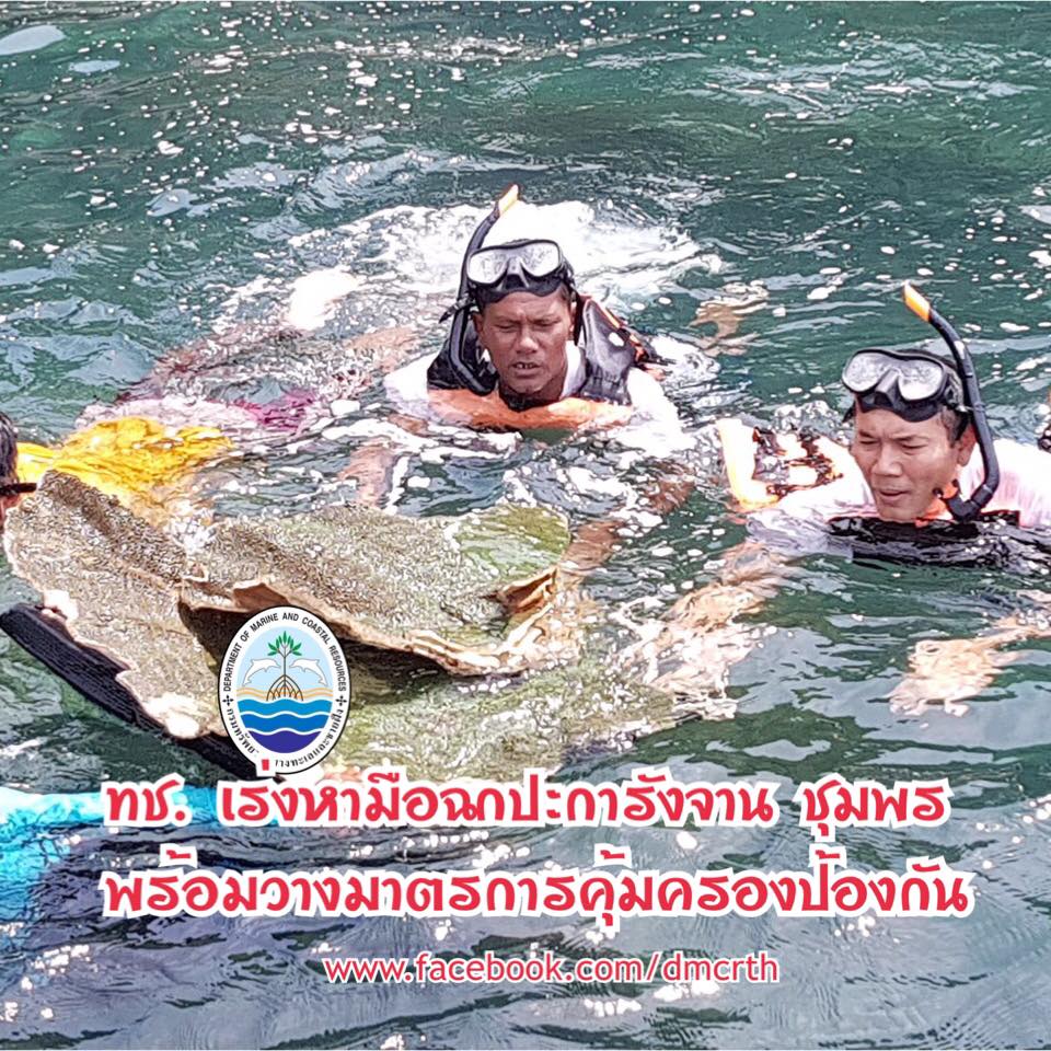 ทช. ให้ข้อมูลกรณีข่าวหนังสือพิมพ์เดลินิวส์ โวยแก๊งลักปะการังจานขนาดยักษ์ในถ้ำเวียงแหล่งเที่ยวชื่อดังชุมพร