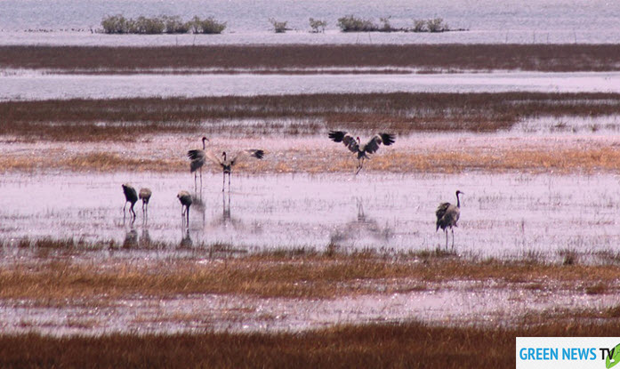 ‘แรมซาร์’ 28 แห่ง อยู่ใน ‘ลุ่มน้ำโขง’ ตอนล่าง IUCN ผนึก 4 ประเทศร่วมอนุรักษ์ – ปรับตัวรับ ‘โลกร้อน’